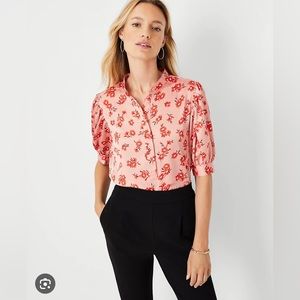 Ann Taylor short sleeve blouse (petite size XS)